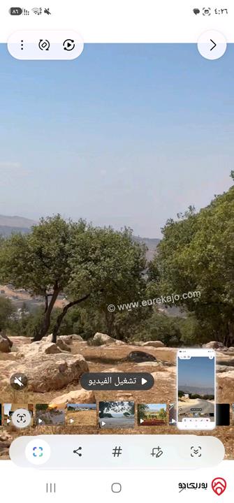 أرض مساحة 3 دونم و 800م للبيع في السلط