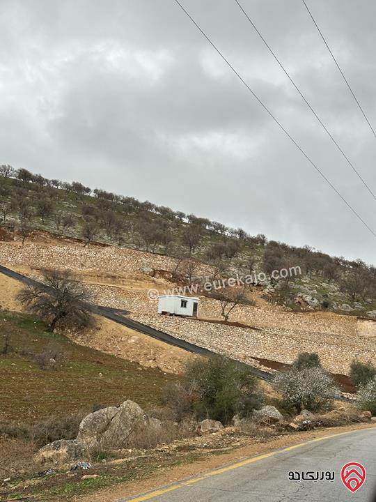 أرض مساحة 3 دونم و 400م للبيع في الزرقاء - صروت