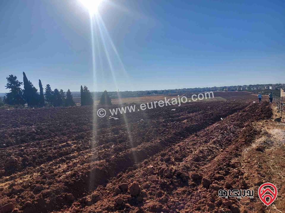 يوريكا جو - 34725 ارض مساحة 16 دونم للبيع في اربد - الحصن ام