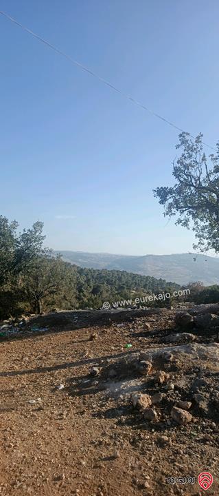 أرض مساحة 650متر للبيع في عمان - ابو السوس أسكان المهندسين