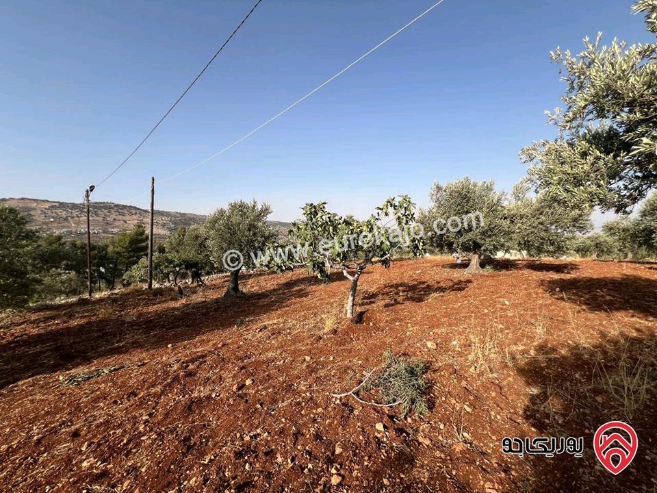 قطعة أرض ريفية مساحة 7 دونم للبيع في في جرش سوف حوض بيدر الحمص 