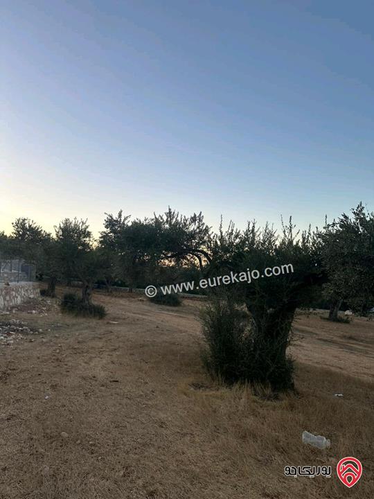 قطعة ارض مساحة 1720م للبيع في اجمل مناطق السلط زي منطقة حيوية وجميلة جدا مزراع وفلل فقط قريبة من كل الخدمات 