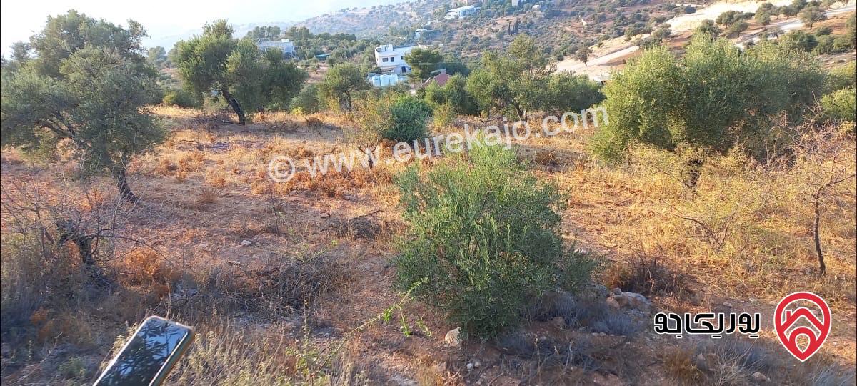 قطعة ارض مفروزة مساحة 550م للبيع في عمان - بدر
