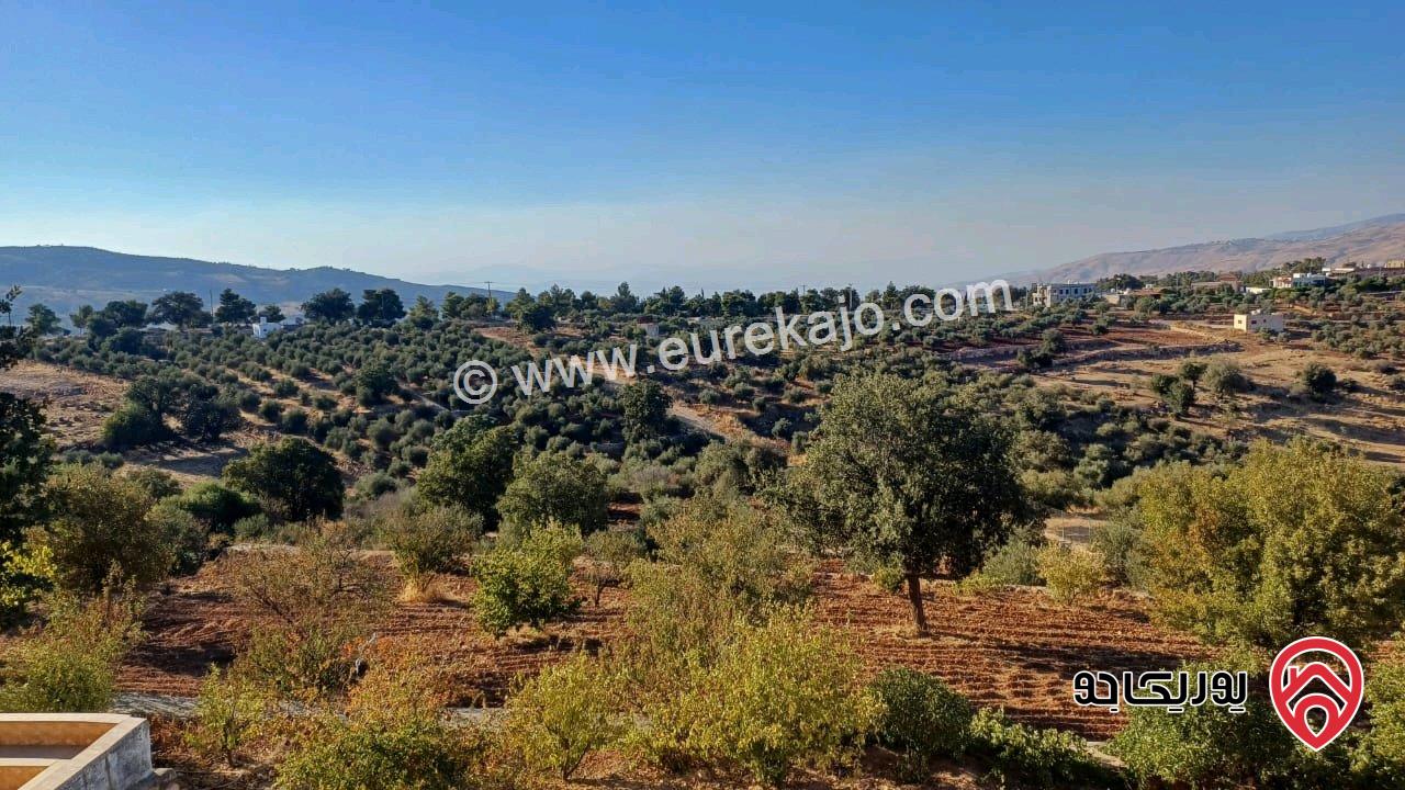 مزرعة مساحة 5177م للبيع في السلط - الصبيحي ابوالهيل  اطلاله على جبال فلسطين