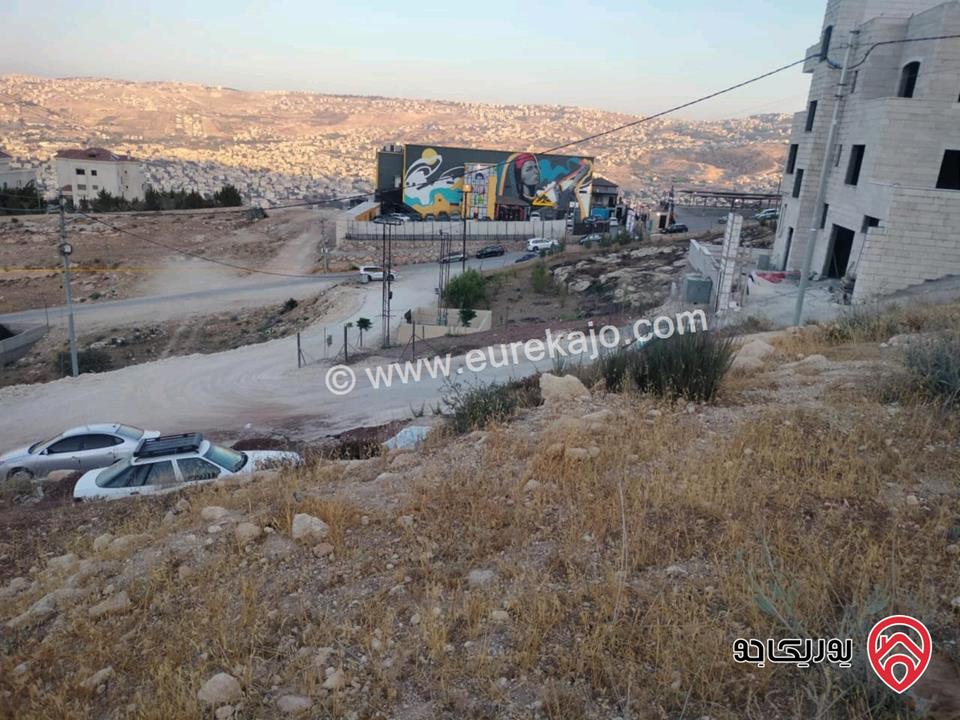 قطعتين أرض مساحة 465م لكل قطعة للبيع من أراضي شمال عمان  - عين الباشا