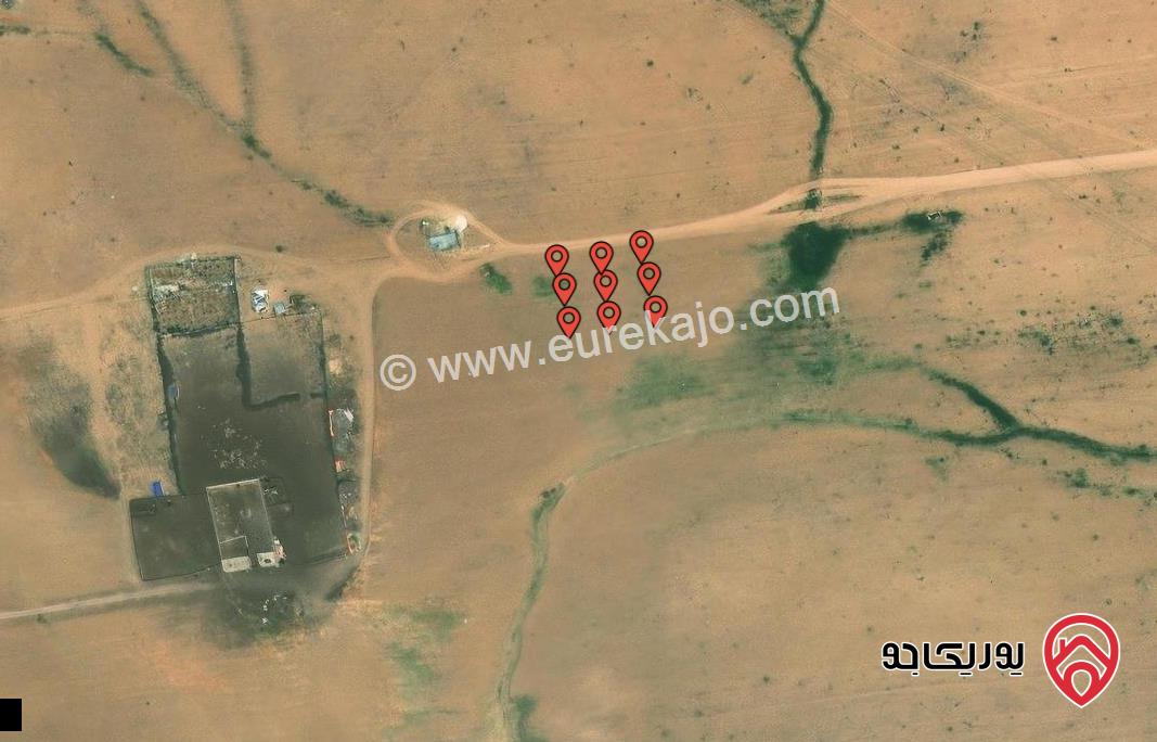 اربع قطع متجاورات مساحتهم معاً 1248م للبيع من اراضي جنوب عمان حوض الموارس