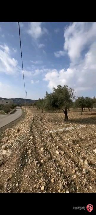 أراضي مساحة 3700م للبيع في عمان - ناعور حسبان مزروعة زيتون