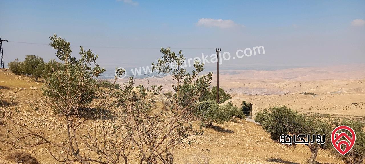 قطعة ارض مساحة 600م للبيع في عمان - ناعور اطلالة خلابة على فلسطين 