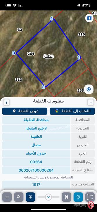 قطعة ارض مساحة 2 دونم للبيع في محافظة الطفيلة حي مصال قرب شارع عمان 