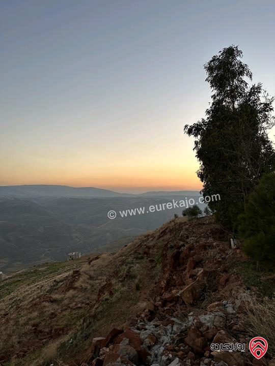 ارض مساحة 3 دونم و 500م للبيع في جرش - برما