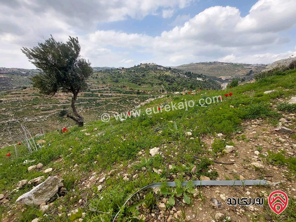  أرض سكنية للبيع في السلط - الجبيل مساحة 1052م (تصنيف أ)