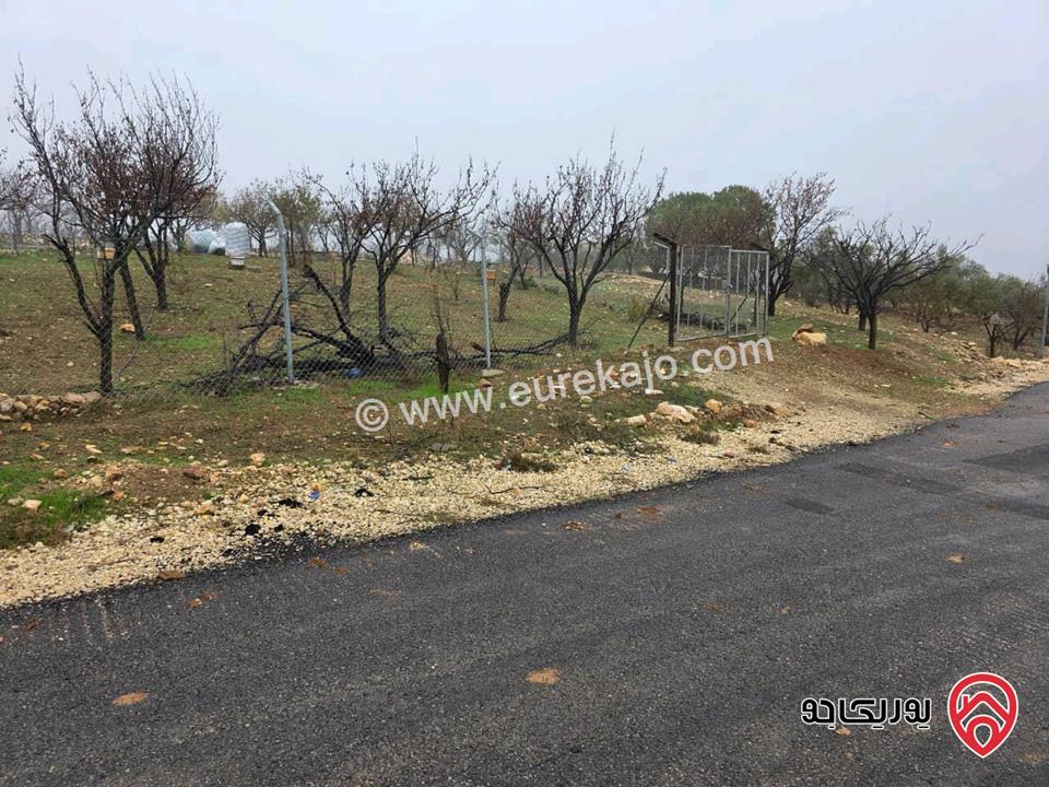 أرض مساحة 750م للبيع في عمان - ناعور