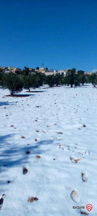 مزرعة مساحة الأرض 4 دونم و 500م والبناء 150م للبيع في المفرق - رحاب