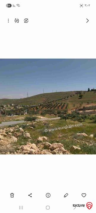 قطعة أرض مساحة 1018م للبيع في الزرقاء - بيرين مرحب إسكان الرياض بجانب مسجد الرياض الكبير