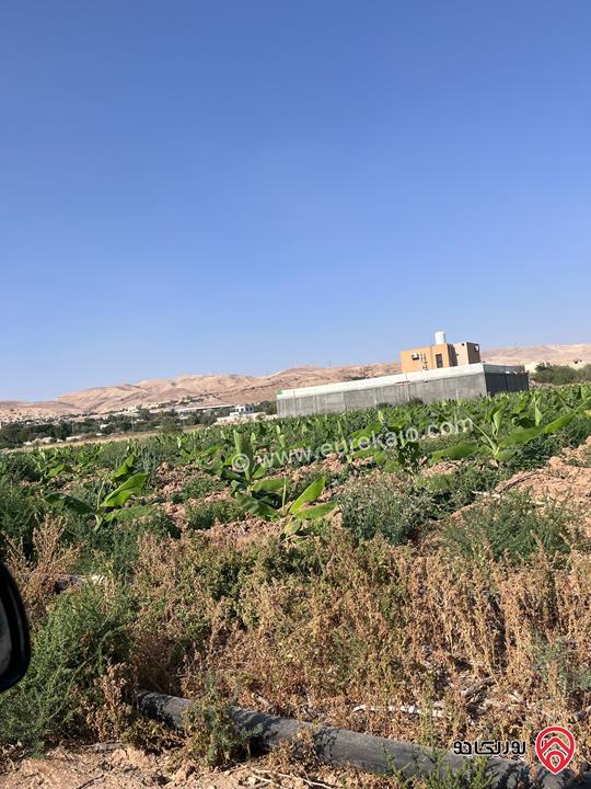 قطعة ارض مفروزة مساحة 1307م للبيع من أراضي الشونة الجنوبية في الاغوار من المالك 