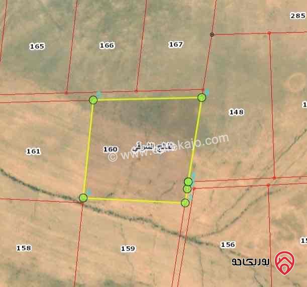 قطعة أرض مساحة 10.916 دونم للبيع من أراضب جنوب عمان - في منطقة الفالج الشرقي  