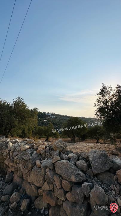 قطعة ارض مساحة 5 دونم و 856م للبيع في منطقة ماحص البلقاء منطقة قصور وفلل بجانب قصر الامير حسين ميرزا اطلالة غربية من المالك مباشرة 