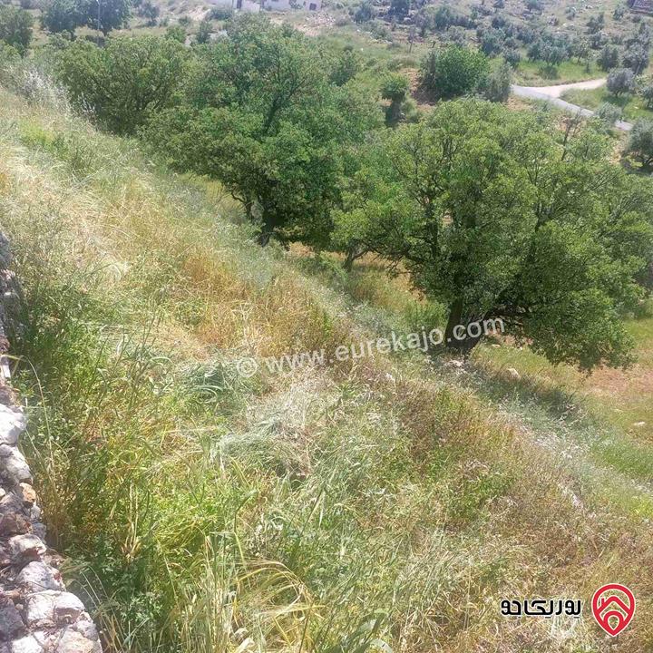 قطعة ارض مساحة 2600م للبيع في عمان - منطقة بدر الجديدة 