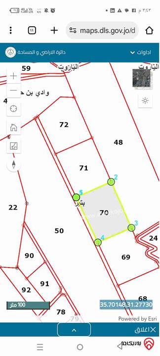 قطعة أرض مساحة 10 دونم للبيع في الكرك - وادي ابن حماد بتير