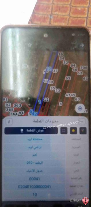 قطعة ارض مساحة 1 دونم للبيع بسعر مغري في اربد - كتم