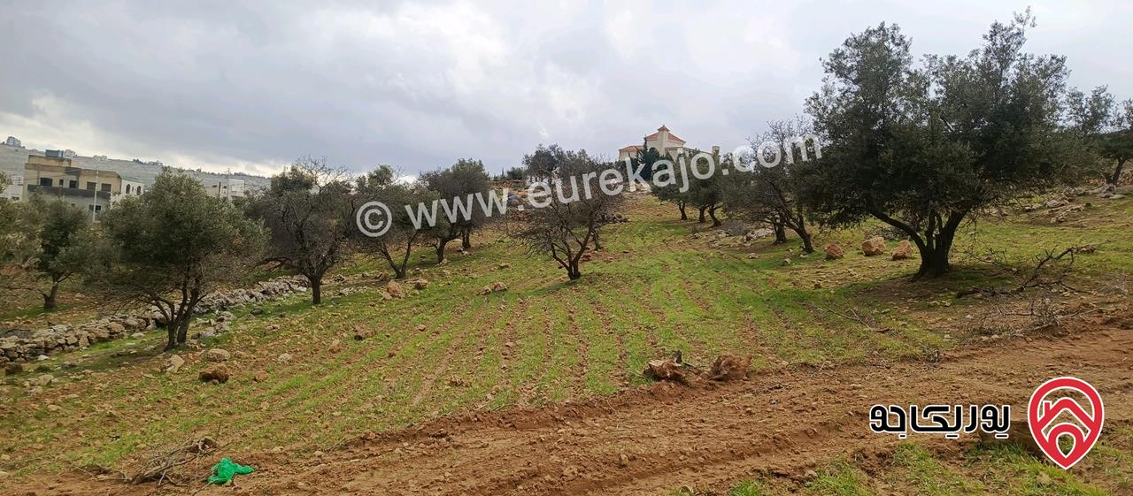 ارض مساحة 750م للبيع في عمان - شفا بدران / المقرن 