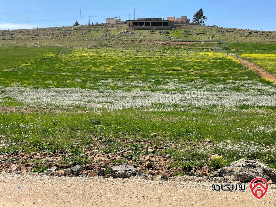 أرض مساحة 5 دونم و 500م للبيع في مادبا قرب الجامعة الامريكية