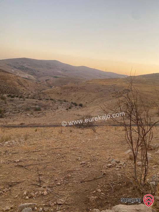 ارض مساحة 3 دونم و 600م للبيع في الزرقاء - السخنة بسعر مغري جداً 
