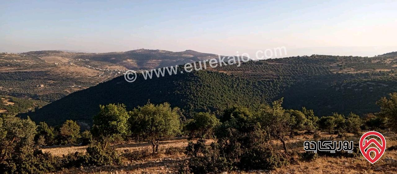 أرض مميزة مساحة 2 دونم للبيع في محافظة عجلون منطقة عنجرة / خربة الحنيش الأثرية 