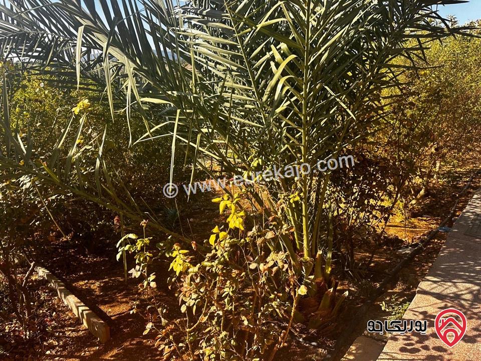 مزرعة فيها فيلا عدد 2 مساحة كل فيلا 300م على أرض 14 دونم للبيع في جرش