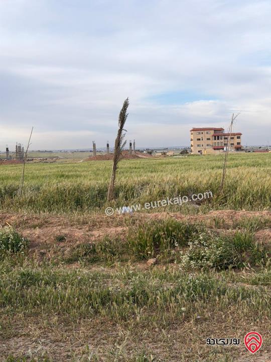 اراضي سكنية مساحة 1 دونم و 700م للبيع في عمان - مقابل مطار الملكة علياء من المالك مباشرة 