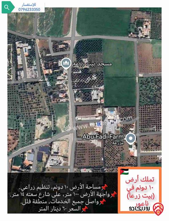 قطعة أرض ١٠ دونم للبيع في عمان - ناعور منطقة بيت زرعا، على شارع سعته ١٢ متر 