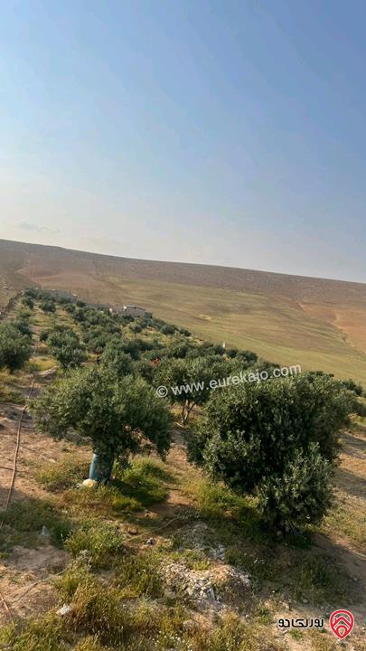 قطعة ارض 10 دونم للبيع من أراضي جنوب عمان - ارينبه الغربيه حوض 4 الجنوبي تبعد عن المطار 7 كم