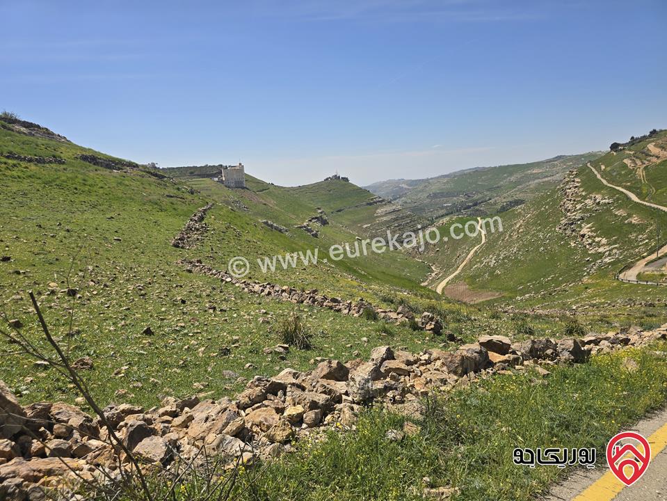 ارض مساحة 5 دونم و 24م للبيع في السلط - أبو طاره