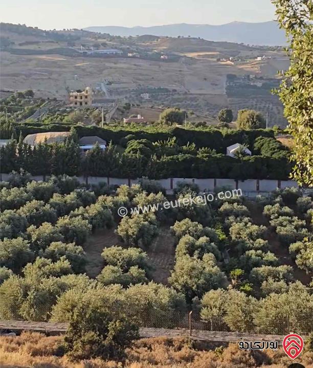 قطعة أرض مميزة جدا مساحة 5 دونم للبيع في السلط جلعاد 