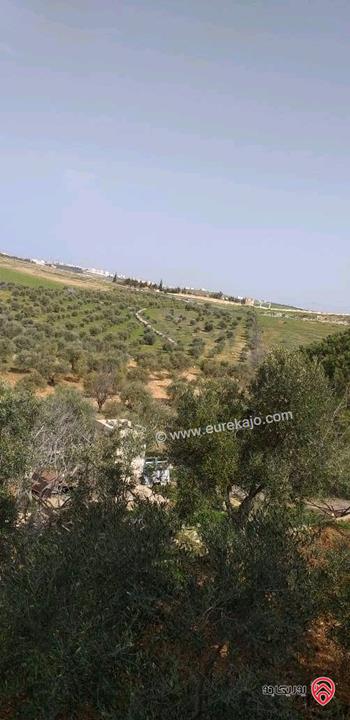 قطعة أرض مساحة 18 دونم للبيع في عمان - ناعور بلعاس 
