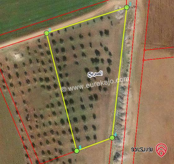 ارض 4774م للبيع في اربد - من اراضي الصريح ضمن حوض العكليك الوسطاني 