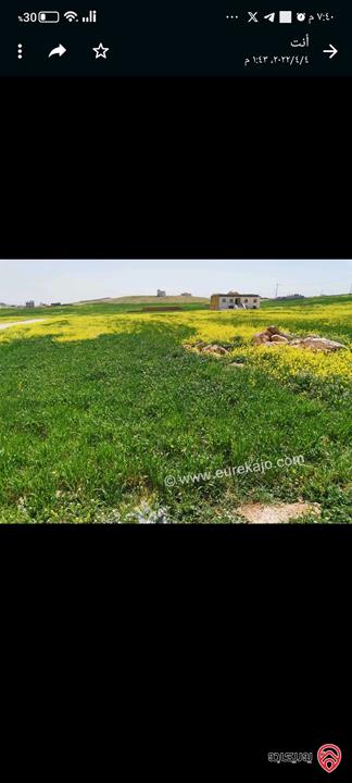 ارض مساحة 750م للبيع في الموقر - ضاحية الاميرة ايمان قرب مستشفى التوتنجي 