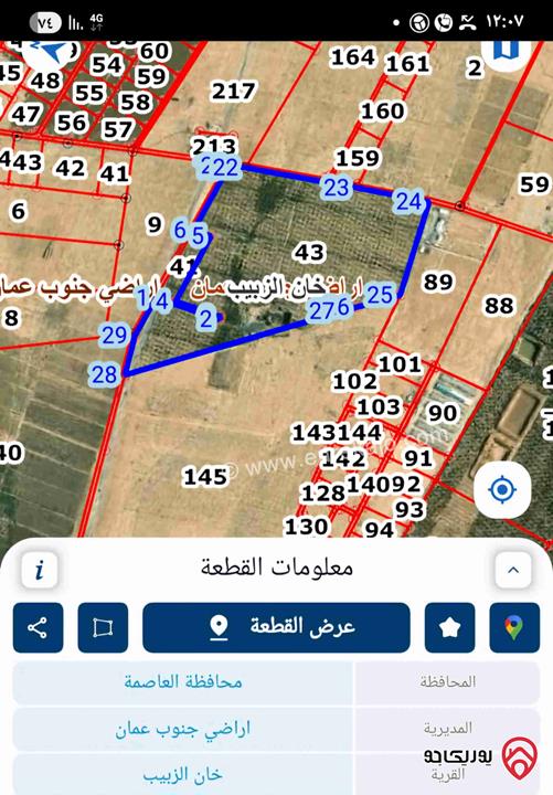 مزرعة مساحة الأرض 254 دونم مزروعة زيتون للبيع من أراضي جنوب عمان - منطقة خان الزبيب