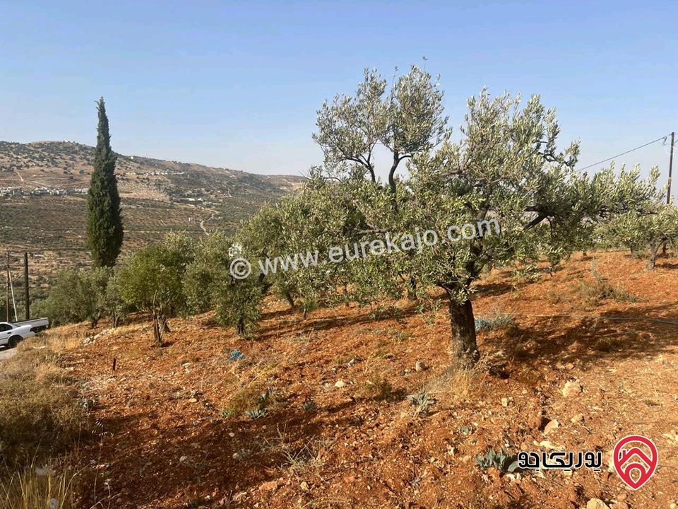 قطعة أرض ريفية مساحة 7 دونم للبيع في في جرش سوف حوض بيدر الحمص 