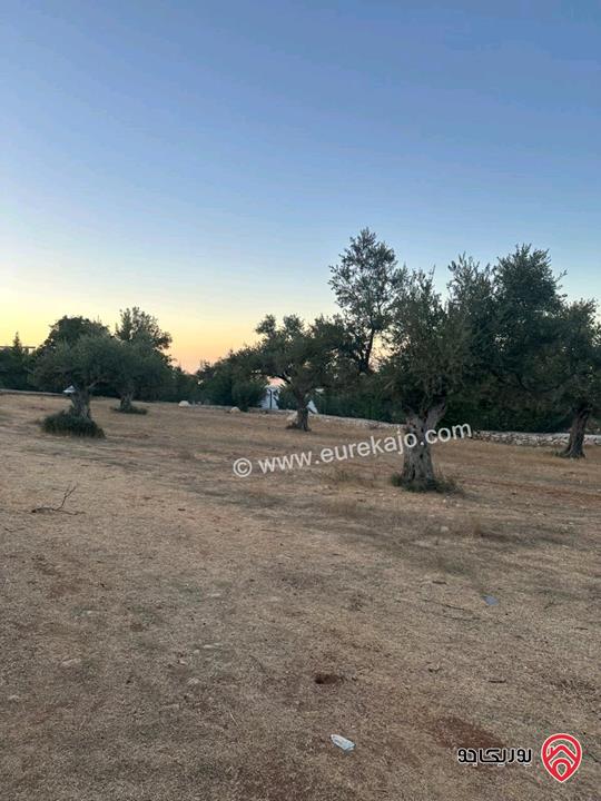 قطعة ارض مساحة 1720م للبيع في اجمل مناطق السلط زي منطقة حيوية وجميلة جدا مزراع وفلل فقط قريبة من كل الخدمات 