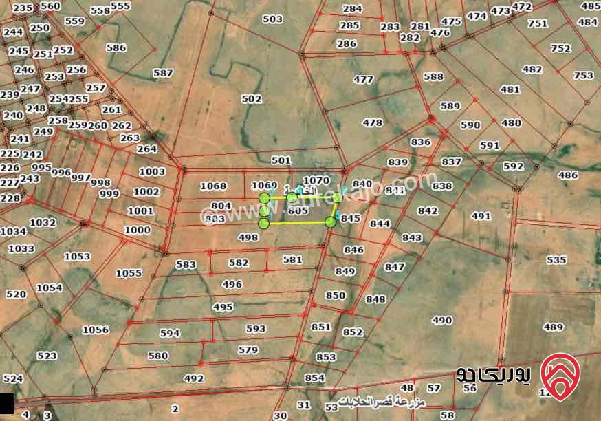 ارض للبيع في المفرق قرية الخالدية حوض وادي العاقب (4) . رقم القطعة 805