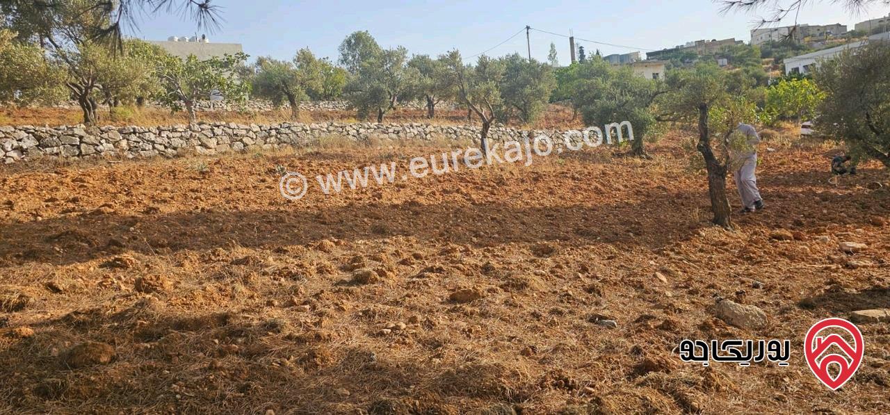 قطعة أرض ريفية مساحة 7 دونم للبيع في في جرش سوف حوض بيدر الحمص 