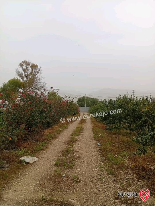 قطعة ارض مساحة 3 دونم و 400م للبيع في اربد - الأغوار الشمالية 