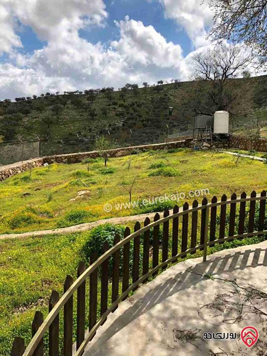 مزرعة مساحة دونم للبيع في الزرقاء - صروت 