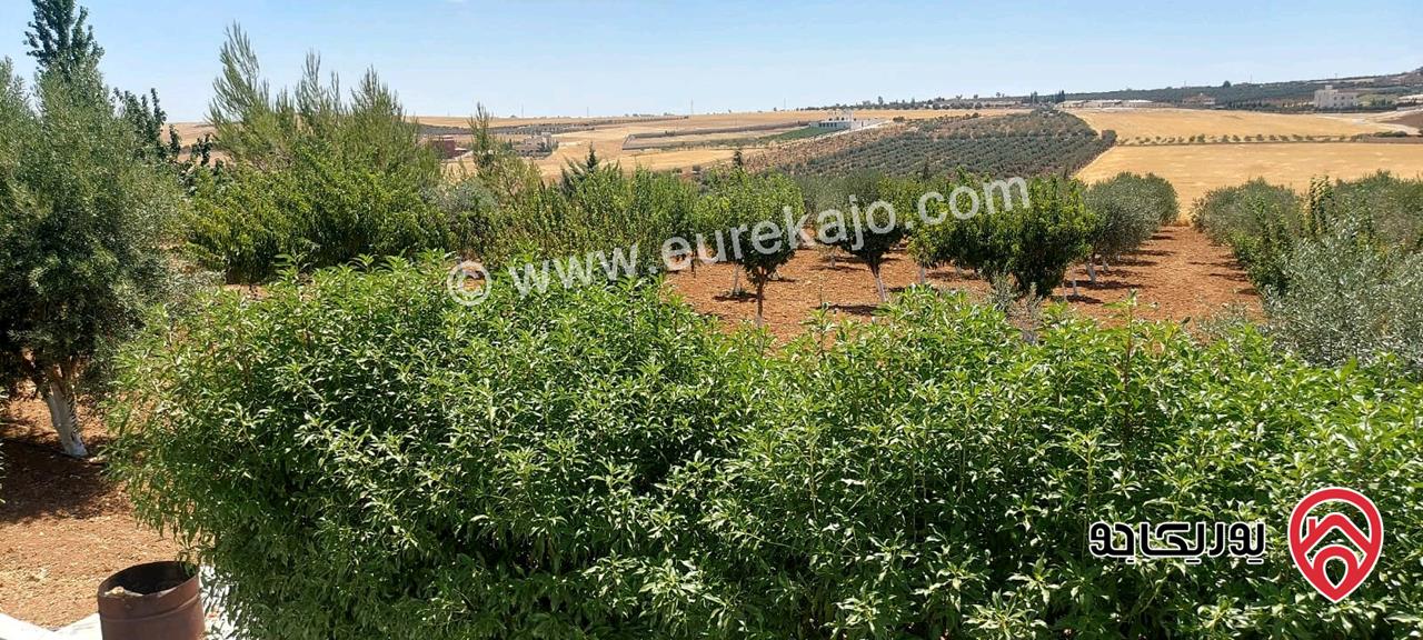 مزرعة مساحة الأرض 4 دونم عليها فيلا طابقين 800م للبيع في مادبا - الفيحاء
