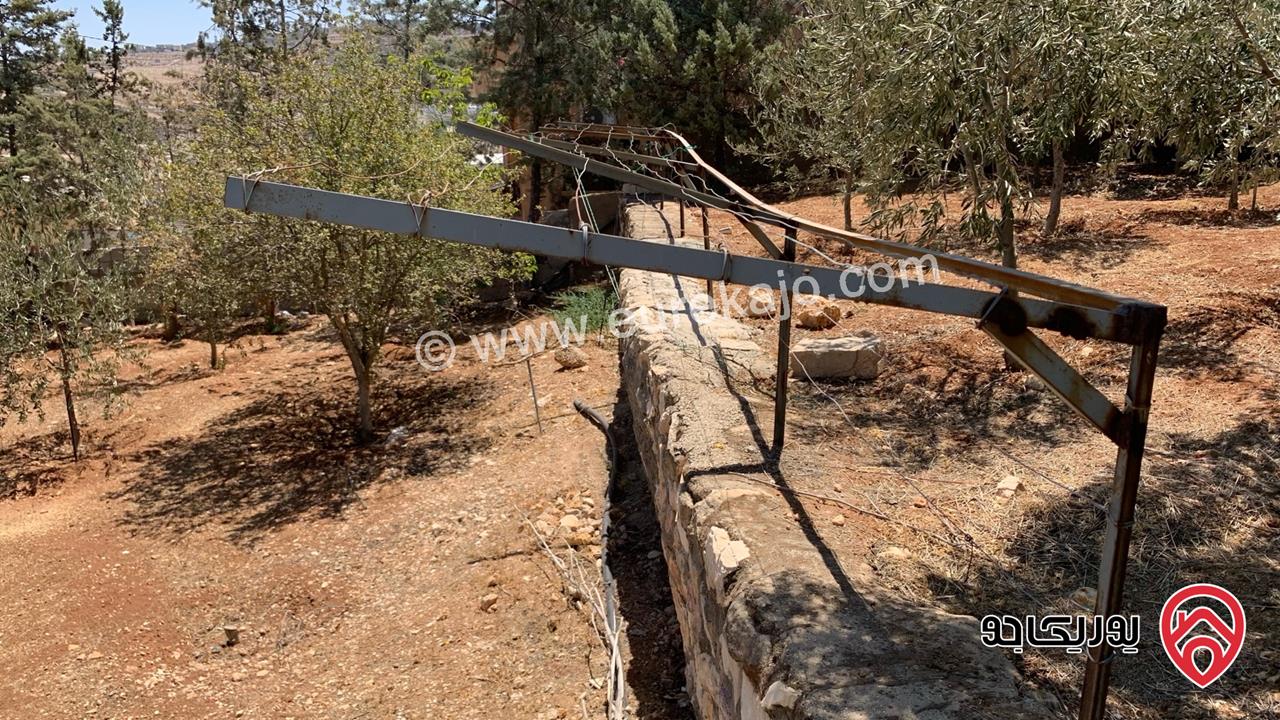 مزرعة مساحة الأرض 2 دونم للبيع بدون منزل في جرش حي الجبارات