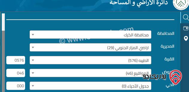اراضي مساحة 4 دونم للبيع في الكرك - المزار الجنوبي
