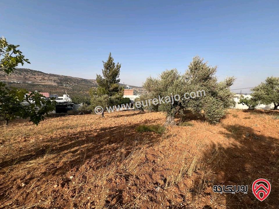 قطعة أرض ريفية مساحة 7 دونم للبيع في في جرش سوف حوض بيدر الحمص 