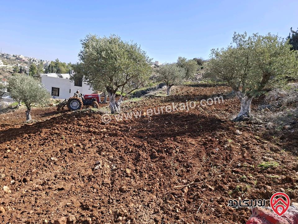 قطعة أرض مساحة 1 دونم للبيع في السلط - سوادة الشمالي