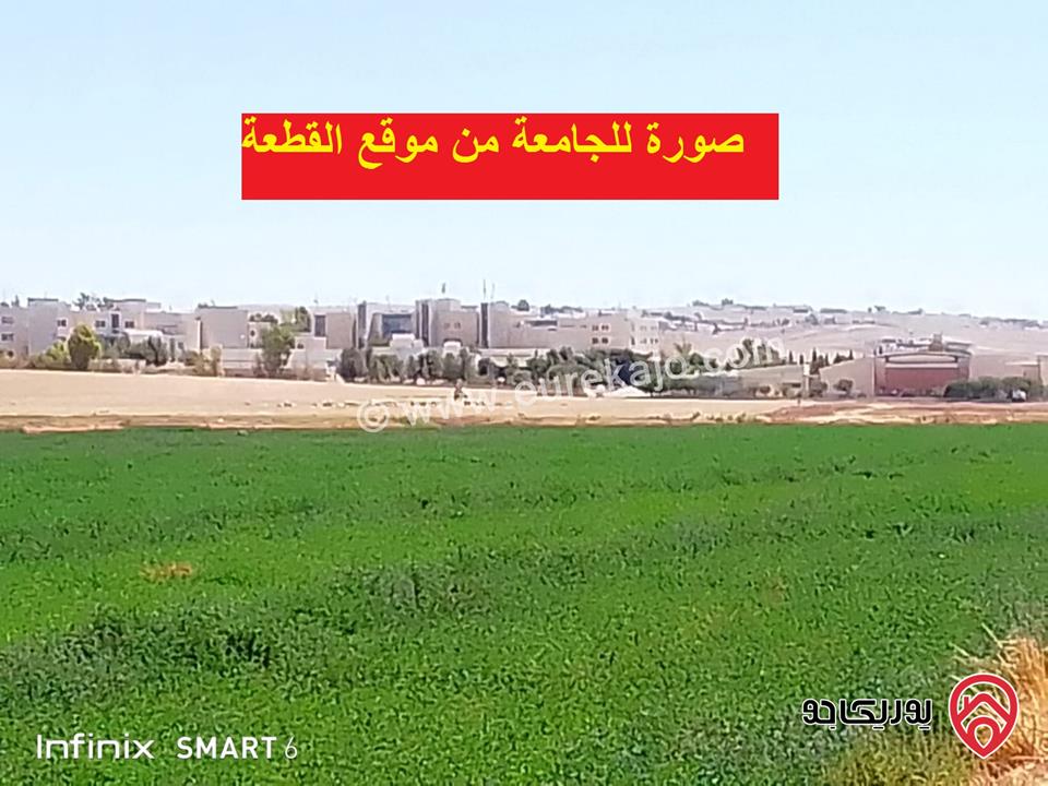 قطعة ارض زراعية تصلح للسكن أو  لعمل مزرعة او شاليه مساحة 7 دونم و 252م للبيع في مادبا بجانب الجامعة الامريكية 